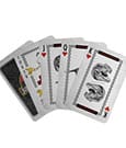 Jurassic Park Mazzo di Carte da Gioco – Gift Shop Display (12 mazzi) – Fanattik