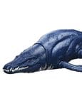 Jurassic World Wild Roar Brachauchenius Action Figure con Ruggito, Mattel