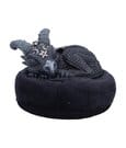 Cult Cuties Lucifly Dreams Statuetta in Resina 9 cm - Nemesis Now