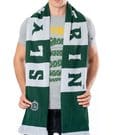 Harry Potter Sciarpa Serpeverde - Accessorio Ufficiale