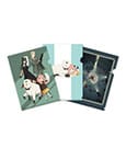 Spy x Family Clearfile 3-Set Stagione 3 – Cartelle A4 Sakami Merchandise