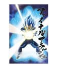 Dragon Ball Super Poster 3D Survival Vegeta 38 x 58 cm SD Toys