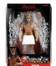 ThunderCats Ultimates! Wave 15 Action Figure Wizz-Ra 18 cm Super7