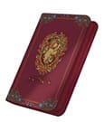 Ultimate Guard Zipfolio 160 Xenoskin Harry Potter - Grifondoro