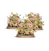 Age of Sigmar - Maggotkin of Nurgle - Spearhead - Bubonic Cell