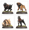 Age of Sigmar -  Cities of Sigmar - Regiment of Renown - Ven Denst's Hounds