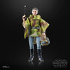 Hasbro - Star Wars - The Black Series - Princess Leia (Endor)