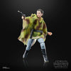 Hasbro - Star Wars - The Black Series - Princess Leia (Endor)