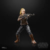 Hasbro - Star Wars - The Black Series - Vel Sartha