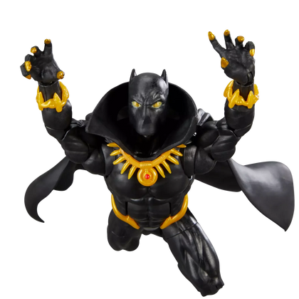 Hasbro - Marvel Legends Series - Black Panther