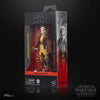 Hasbro - Star Wars - The Black Series - Padawan Jecki Lon