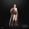 Hasbro - Star Wars - The Black Series - Maestro Jedi Indara