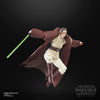 Hasbro - Star Wars - The Black Series - Maestro Jedi Indara