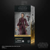 Hasbro - Star Wars - The Black Series - Padmé Amidala