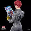 Hasbro - Marvel Legends Series - Black Widow