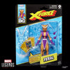 Hasbro - Marvel Legends Series - Feral