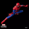 Hasbro - Marvel Legends Series - The Amazing Spider-Man