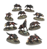 Age of Sigmar - Soulblight Gravelords - Dire Wolves