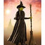 Wicked S.H. Figuarts Action Figure Elphaba 14 cm - Bandai Tamashii Nations
