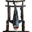 Jaws Squalo Appeso Maquette 1/12 76 cm - Statua da Collezione Elite Creature Collectibles