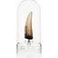 Jurassic Park III Replica 1/1 Dente di Spinosaurus 14 cm Elite Creature Collectibles