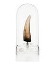 Jurassic Park III Replica 1/1 Dente di Spinosaurus 14 cm Elite Creature Collectibles