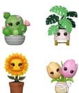 Funko POP! Flora Black Friday 4 Pack – Piante Kawaii, Action Figure in Vinile 9 cm
