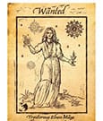 The Witcher – Stampa d'Arte in Edizione Limitata 42x30 cm – Fanattik