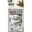 Star Wars The Mandalorian Cornice Magnetica con Foto - Grupo Erik