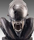 Busto a grandezza naturale Xenomorph Scorched da Alien: Romulus 53 cm - Hollywood Collectibles Group