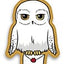 Cuscino Harry Potter Hedwig 35 cm Herding