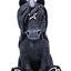 Cult Cuties Culticorn Figura in Resina 10 cm - Nemesis Now