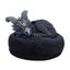 Cult Cuties Lucifly Dreams Statuetta in Resina 9 cm - Nemesis Now