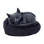 Cult Cuties Statua Malpuss Dreams 9 cm - Nemesis Now