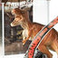 Jurassic Park Diorama in PVC Tyrannosaurus Rex 18 cm - Noble Collection