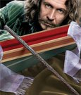 Harry Potter - Bacchetta di Sirius Black - Replica 1:1 - Noble Collection