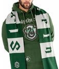 Sciarpa Harry Potter Serpeverde Lunga - Ufficiale CID