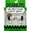Peanuts ReAction Action Figure 2-Pack Snoopy e Spike 10 cm Super7