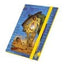Ultimate Guard Flexxfolio 360 Magic: The Gathering | Teenage Mutant Ninja Turtles - Album Portacarte 18 Tasche