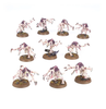 Warhammer 40000 - Tyranids - Genoraptor