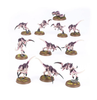 Warhammer 40000 - Tyranids - Hormagaunt