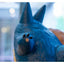 My Neighbor Totoro - Statua Totoro Blu con Sacco di Ghiande 37 cm - Semic