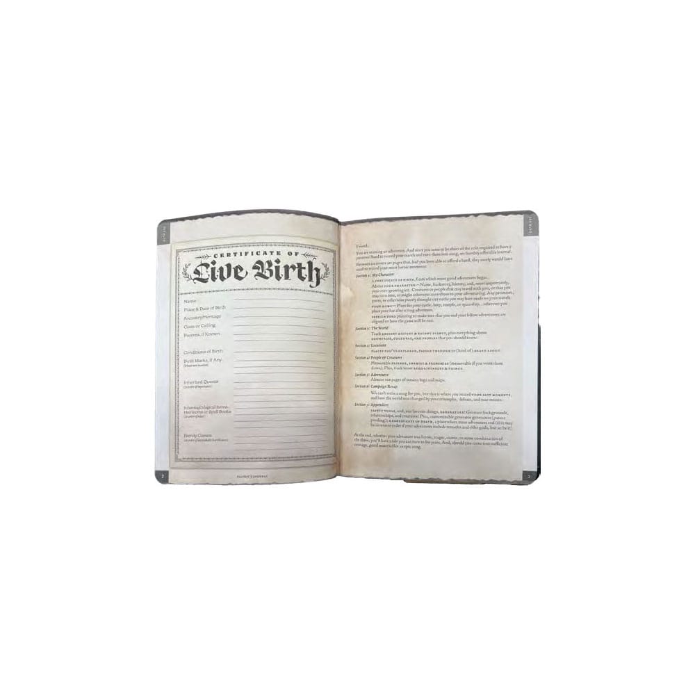 Quaderno A5 Player's Journal – Beadle & Grimm´s