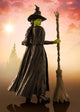 Wicked S.H. Figuarts Action Figure Elphaba 14 cm - Bandai Tamashii Nations