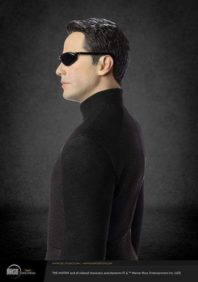 Matrix Statua Premium 1/4 Neo 20° Anniversario 53 cm Darkside Collectibles