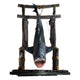 Jaws Squalo Appeso Maquette 1/12 76 cm - Statua da Collezione Elite Creature Collectibles