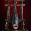 Jaws Squalo Appeso Maquette 1/12 76 cm - Statua da Collezione Elite Creature Collectibles