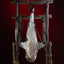 Jaws Squalo Appeso Maquette 1/12 76 cm - Statua da Collezione Elite Creature Collectibles