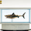 Jaws Maquette 1/18 Bronzo 60 cm - Elite Creature Collectibles