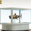Jaws Maquette 1/18 Bronzo 60 cm - Elite Creature Collectibles